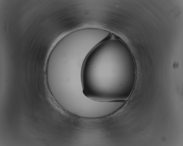 X0000090950864200708241126
