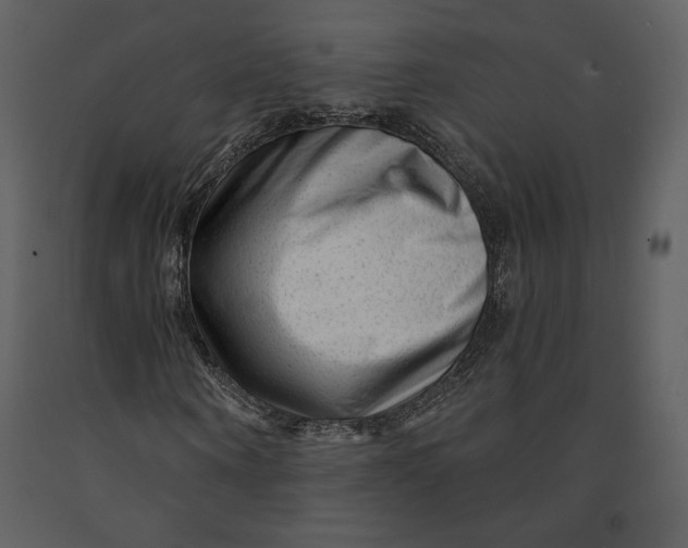 X0000090950866200708241126