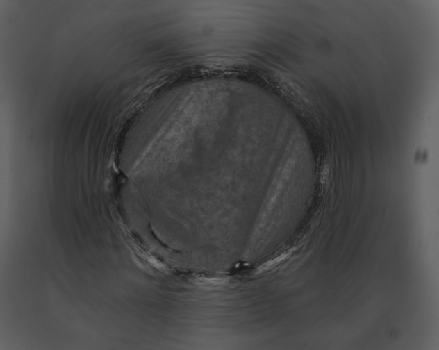 X0000090950868200708241126