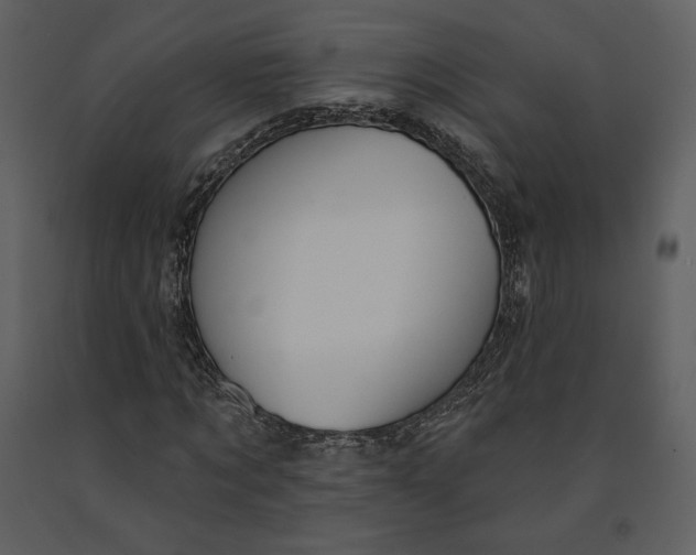 X0000090950869200708241126