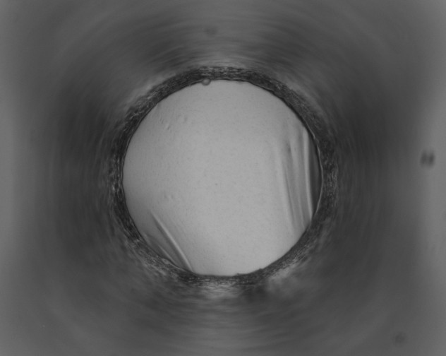 X0000090950870200708241126