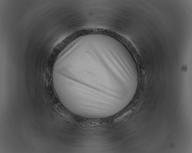 X0000090950871200708241126