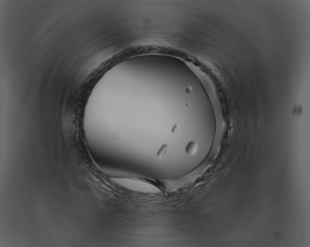 X0000090950872200708241126