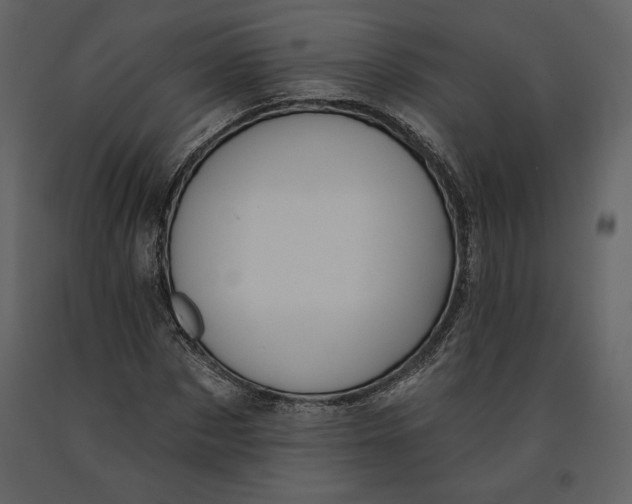 X0000090950873200708241126