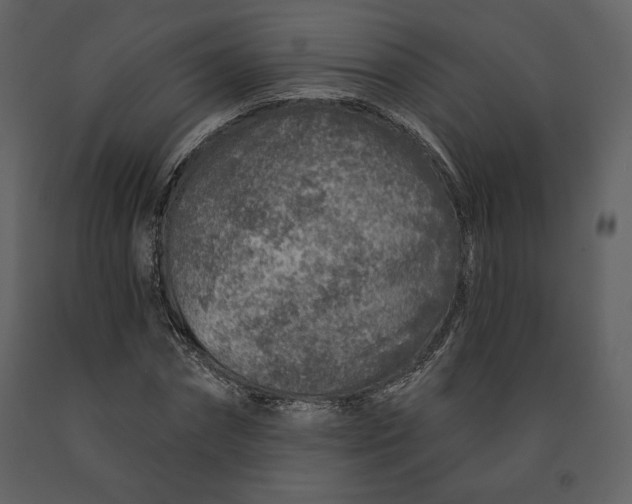 X0000090950874200708241126