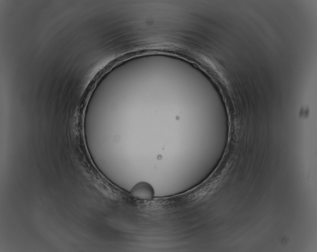 X0000090950875200708241126