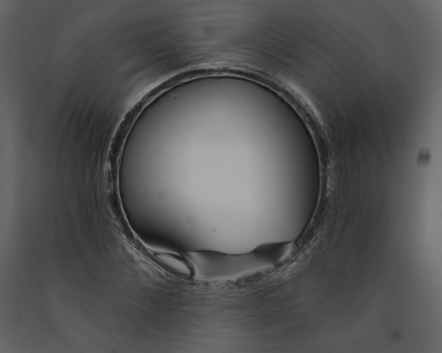 X0000090950876200708241126