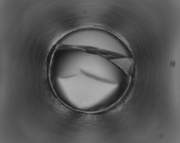 X0000090950877200708241126