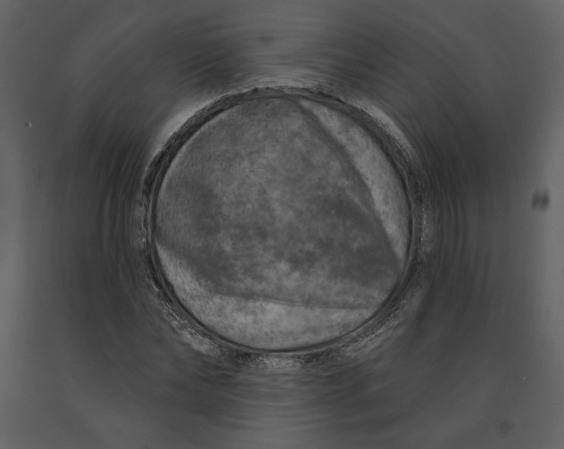 X0000090950878200708241126