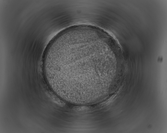 X0000090950879200708241126