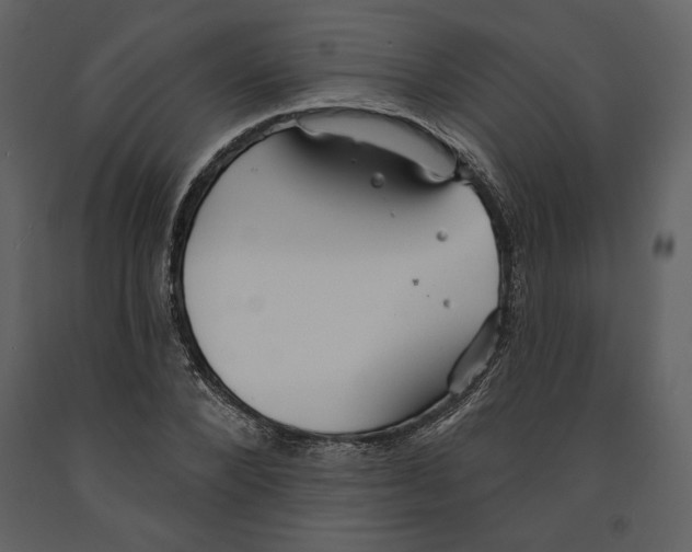 X0000090950880200708241126