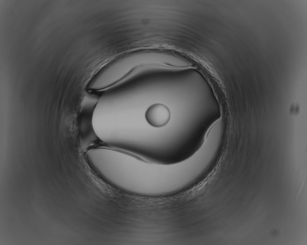 X0000090950881200708241125