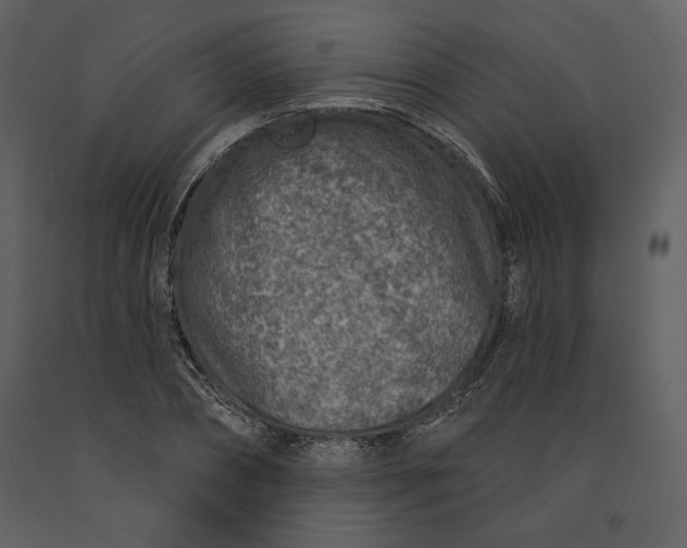 X0000090950882200708241125
