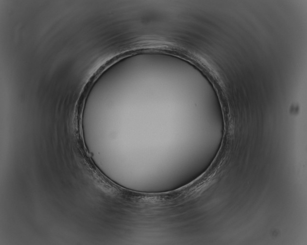 X0000090950883200708241125