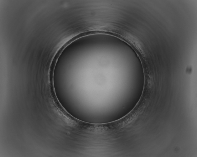 X0000090950884200708241125
