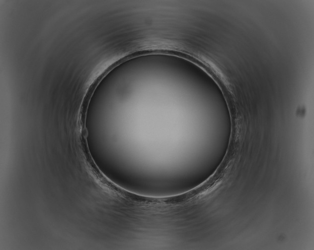 X0000090950885200708241125