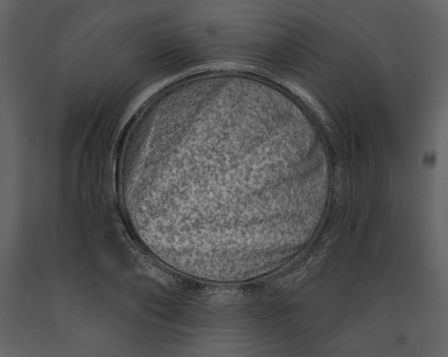 X0000090950886200708241125