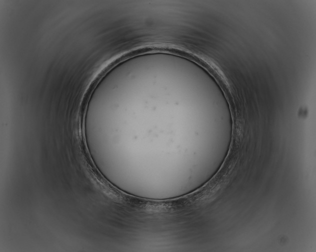 X0000090950887200708241125