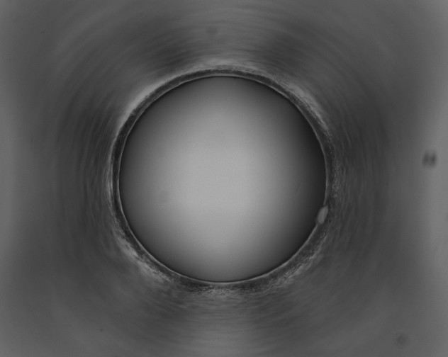 X0000090950888200708241125