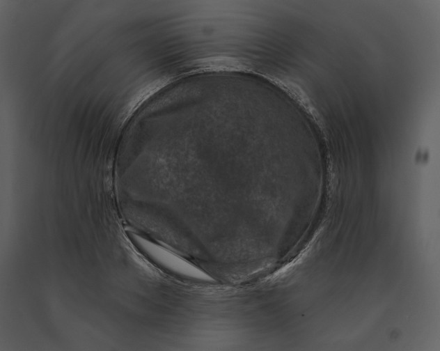 X0000090950889200708241125