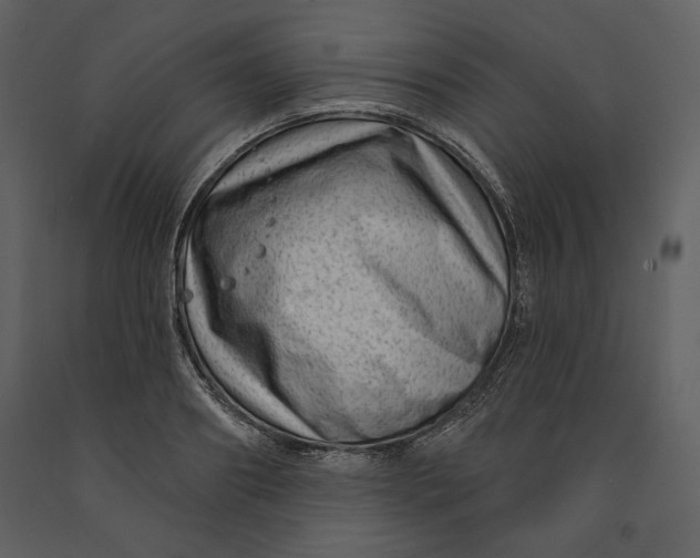 X0000090950890200708241125