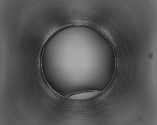 X0000090950891200708241125