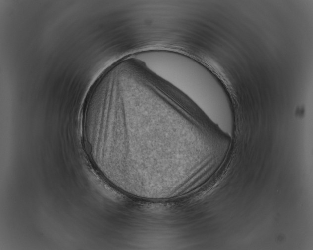 X0000090950892200708241125
