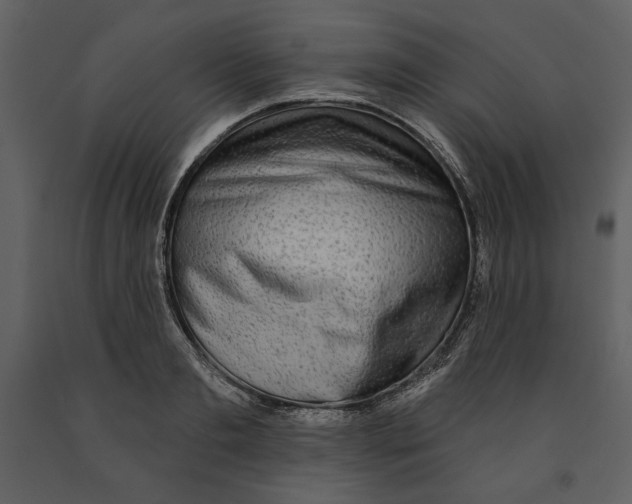 X0000090950893200708241125