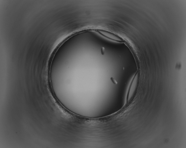 X0000090950894200708241125
