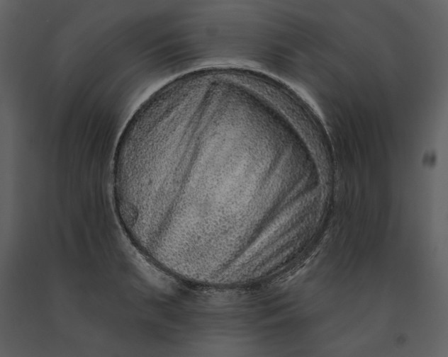 X0000090950895200708241125