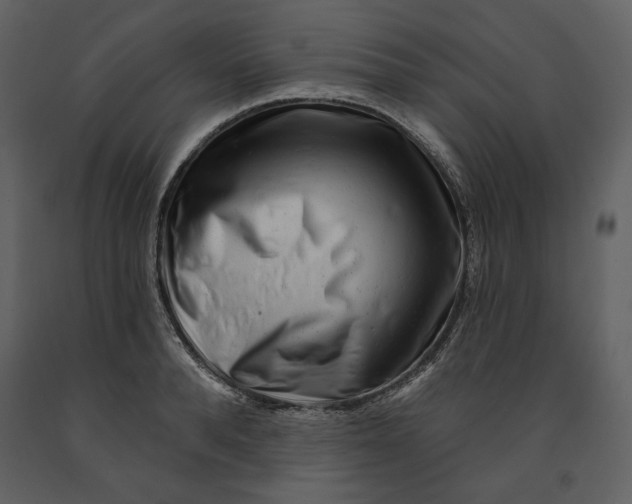 X0000090950896200708241125