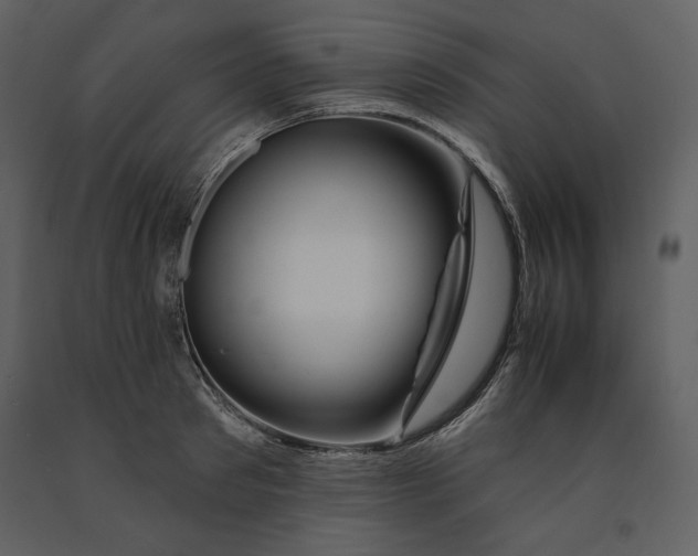 X0000090950897200708241125