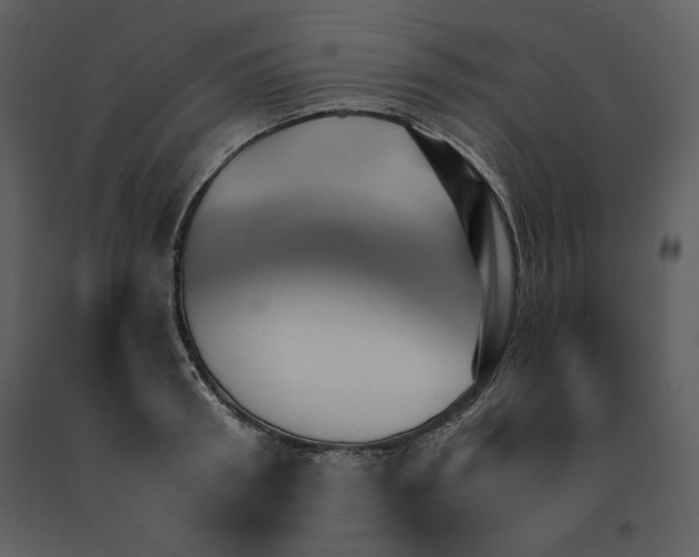 X0000090950898200708241125
