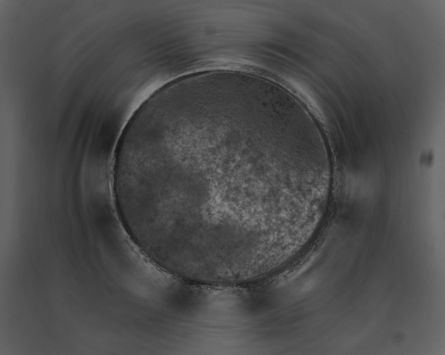 X0000090950899200708241125