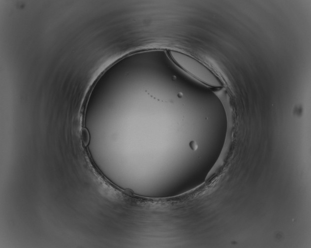 X0000090950900200708241125