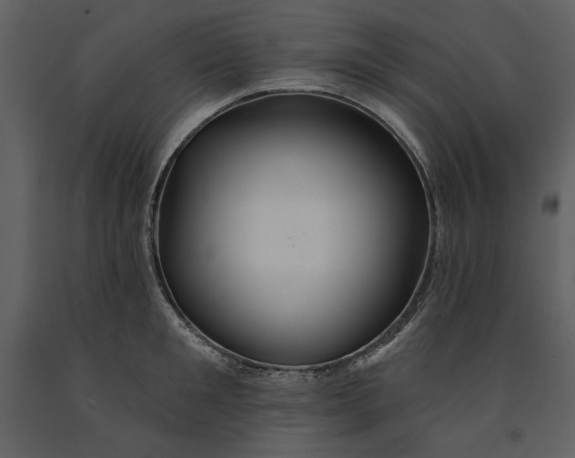 X0000090950901200708241125