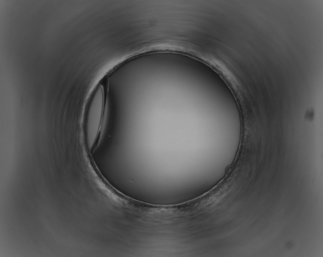 X0000090950902200708241125