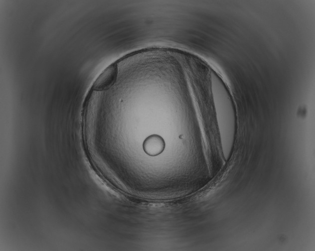 X0000090950903200708241125