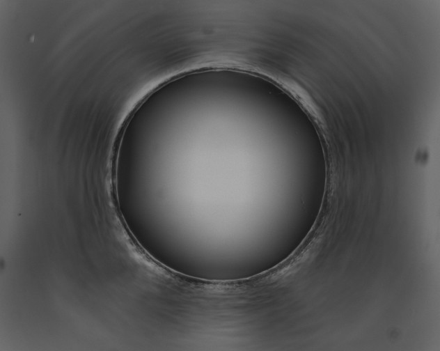 X0000090950904200708241125
