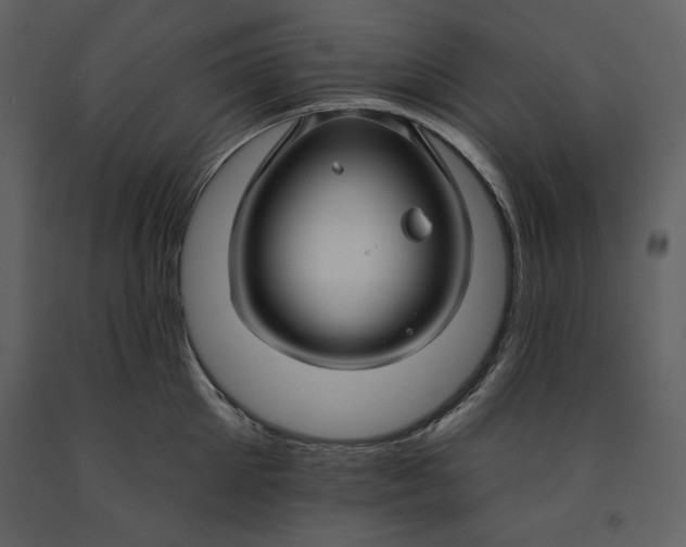 X0000090950905200708241125