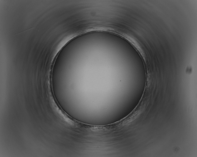 X0000090950906200708241125