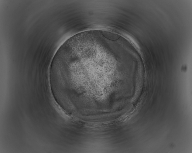 X0000090950907200708241125