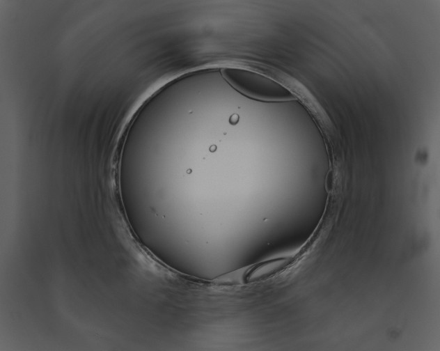 X0000090950908200708241125