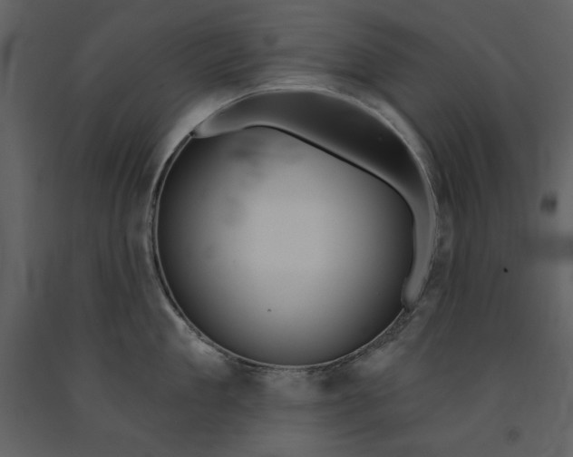 X0000090950909200708241125