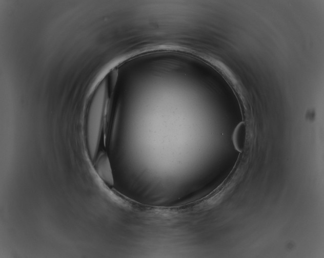 X0000090950910200708241125