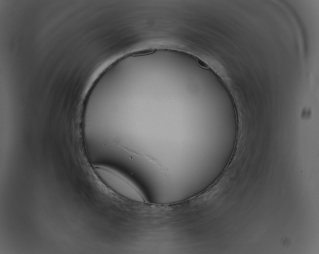 X0000090950912200708241125