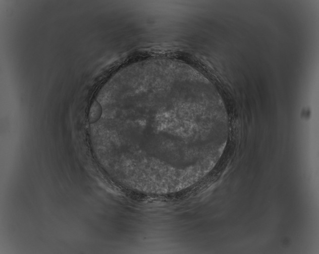 X0000090950913200708241124