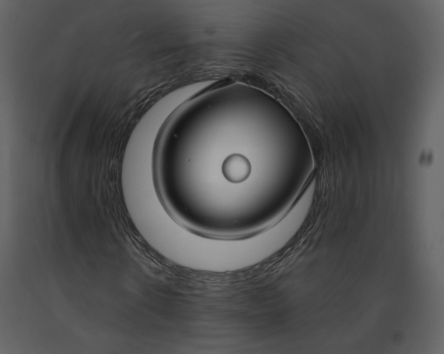 X0000090950914200708241124