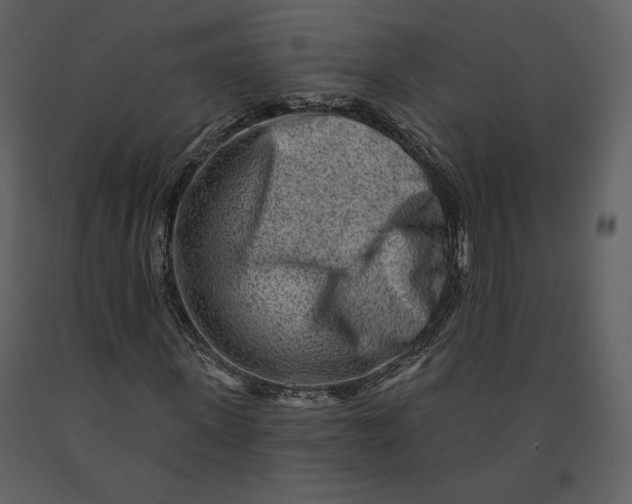 X0000090950915200708241124