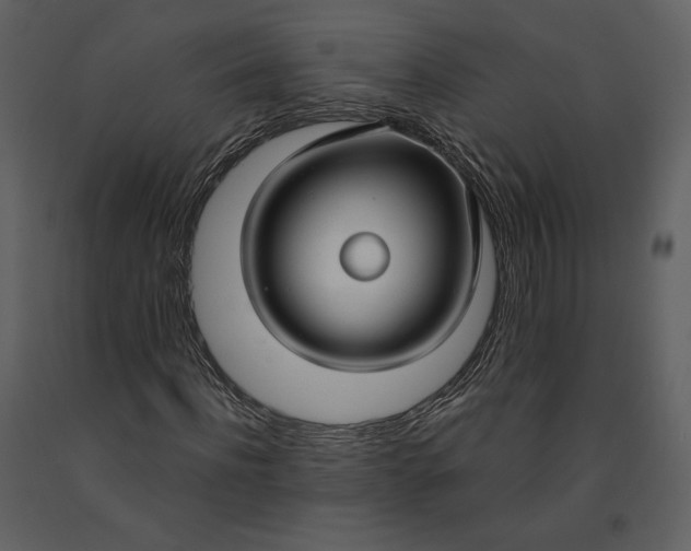 X0000090950916200708241124